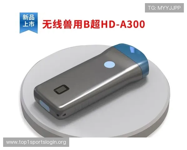 尊龙凯时官方网站入口提供最新安全登录指南帮助玩家顺利进入游戏体验